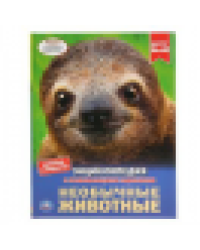 Необычные животные. Энциклопедия А4 с развивающими заданиями. 197х255мм. 48 стр. Умка в кор.15шт