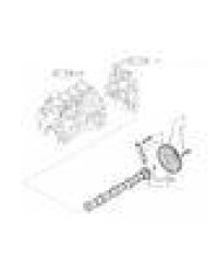 Радости жизни. Дополнительное пособие по практике поклонения Божествам