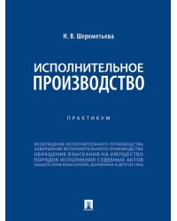 Исполнительное производство. Практикум.-М.:Проспект,2024.