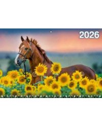 Год Лошади. Вид 1