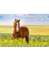 Год Лошади. Вид 2