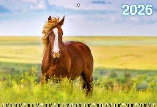 Год Лошади. Вид 2