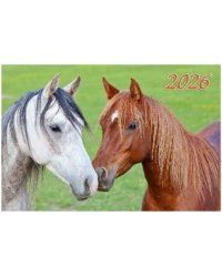 Год Лошади. Вид 3