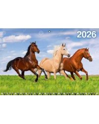 Год Лошади. Вид 4