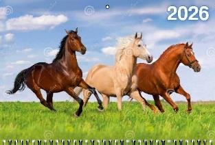 Год Лошади. Вид 4