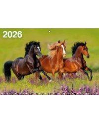 Год Лошади. Вид 5