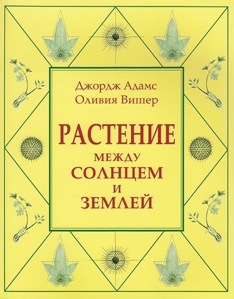 Растение между солнцем и землей: учение о физическом и эфирном пространстве Растение между солнцем и землей: учение о физическом и эфирном пространстве