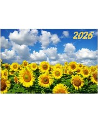 Подсолнухи в поле