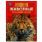 Животные Красной книги. Подарочная энциклопедия. 210х280мм. 256стр. Умка в кор.6шт
