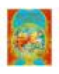 Золотая коллекция сказок. Пушкин А. С. Мир волшебства. 197х255 мм. 7БЦ. 96 стр. Умка в кор.12шт