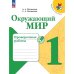 Плешаков Школа России Окружающий мир 1 кл. Проверочные работы ФП2022 Просв.
