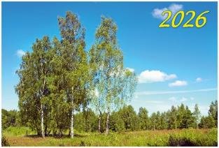 Родной край