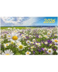 Солнечная поляна