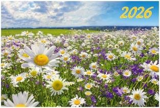 Солнечная поляна