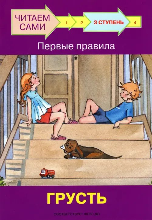 ЧС Ступень 3 Первые правила. Грусть