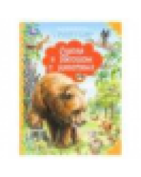 Сказки и рассказы о животных. Бианки В. Мир волшебства. 197х255 мм. 96 стр. Умка в кор.12шт