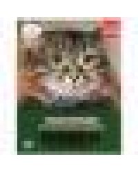 Кошки и котята. Энциклопедия А4 с развивающими заданиями. 197х255 мм. 48 стр. Умка в кор.15шт