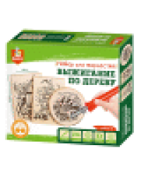 Выжигание. Набор для выжигания по дереву аппарат с насадками, доски 3 шт, спил 1 шт