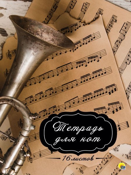 СЕРИЯ: ТЕТРАДЬ ДЛЯ НОТ 16 листов (Проф-Пресс) ТЕТРАДЬ ДЛЯ НОТ А4. 16 листов. ТРУБА