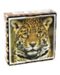 Кубики пластмассовые Дикие кошки 9 шт