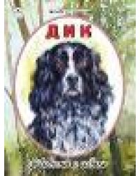 Диво-дивное 80стр.