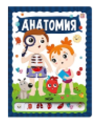 ЗнаникУМ. Анатомия