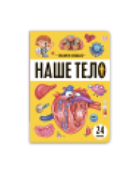 Знания в окошках. Наше тело