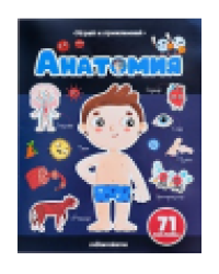 Играй и приклеивай. Анатомия