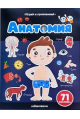 Играй и приклеивай. Анатомия