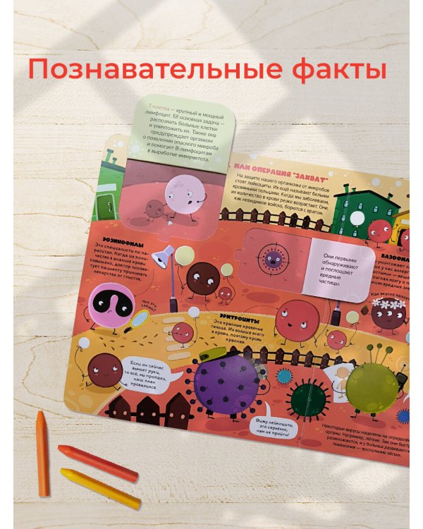 Дополнительное изображение книги «Книжка с окошками. Вирусы и бактерии»