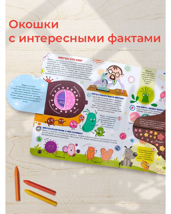 Дополнительное изображение книги «Книжка с окошками. Вирусы и бактерии»
