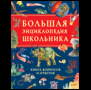 Большая энциклопедия школьника. Книга вопросов и ответов