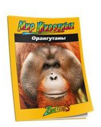 Орангутаны