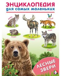 ЭСМ. Лесные звери