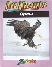 Орлы