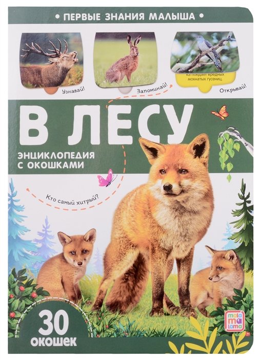 Первые знания малыша. В лесу