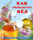 РР. Как появляется мёд