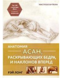 Анатомия асан, раскрывающих бедра, и наклонов вперед