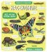 Обложка книги «Маленькие исследователи. Насекомые», ISBN 9785001546740