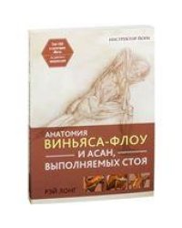 Анатомия виньяса-флоу и асан, выполняемых стоя