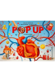 POP UP энциклопедия. Анатомия : книжка-панорамка. 2024