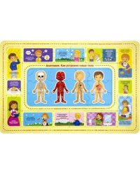 Анатомия. Развивающий пазл