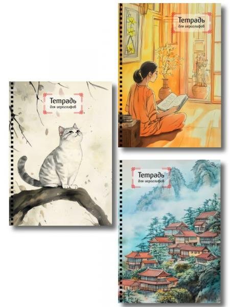 Комплект из 3-х тетрадей для иероглифов на пружине ИК