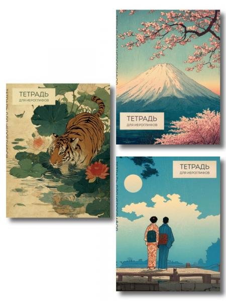 Комплект из 3-х тетрадей для иероглифов ИК