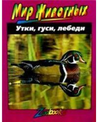 Утки, гуси, лебеди