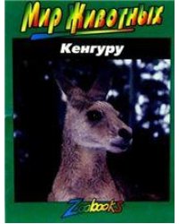 Кенгуру
