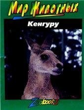 Кенгуру