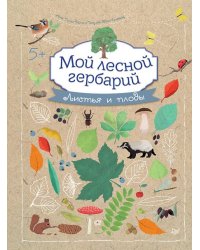 Мой лесной гербарий