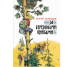 За березовыми книгами