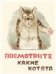 Посмотрите какие котята. Странички-невелички